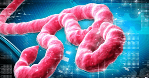 ebola-viru%cc%88su%cc%88-20141020130508